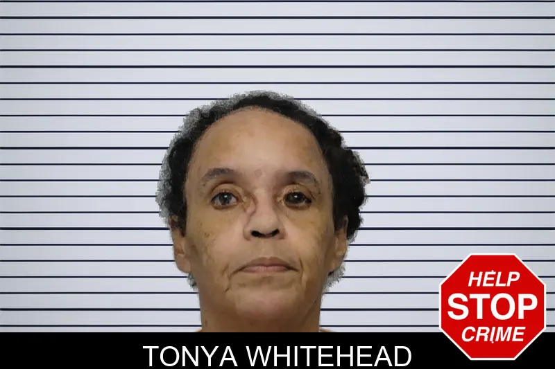 Tonya Whitehead Mugshots