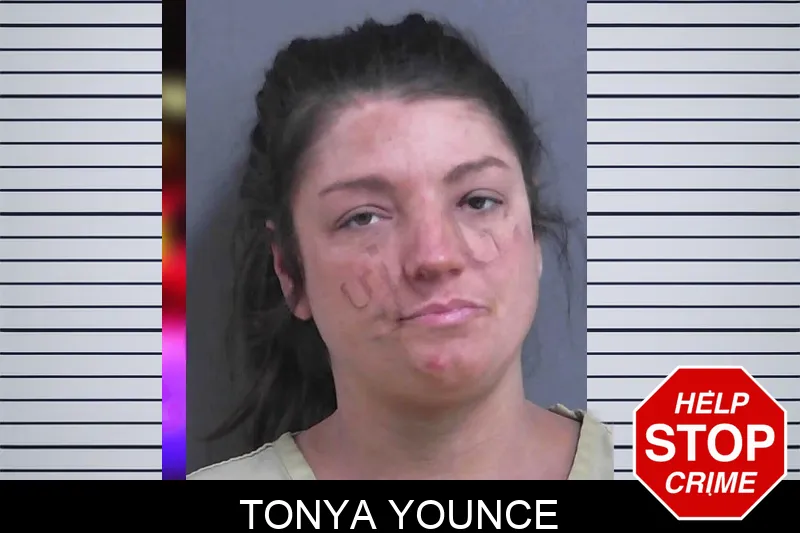 Tonya Younce mugshot – Gordon County , Georgia Tonya Younce mugshot