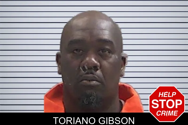 Toriano Gibson Mugshots
