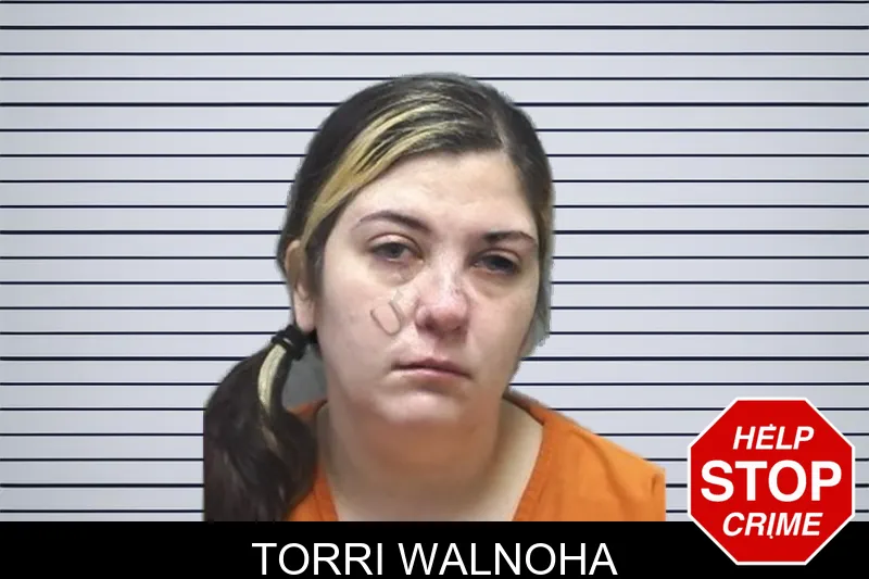 Torri Walnoha mugshot – Cherokee County , Georgia Torri Walnoha mugshot