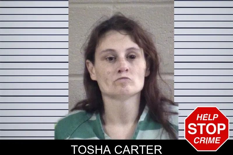 Tosha Carter Mugshots