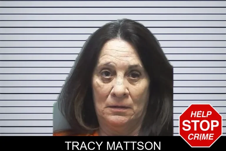 Tracy Mattson mugshot – Cherokee County , Georgia Tracy Mattson