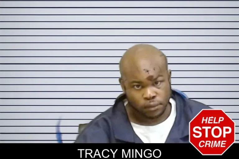 Tracy Mingo