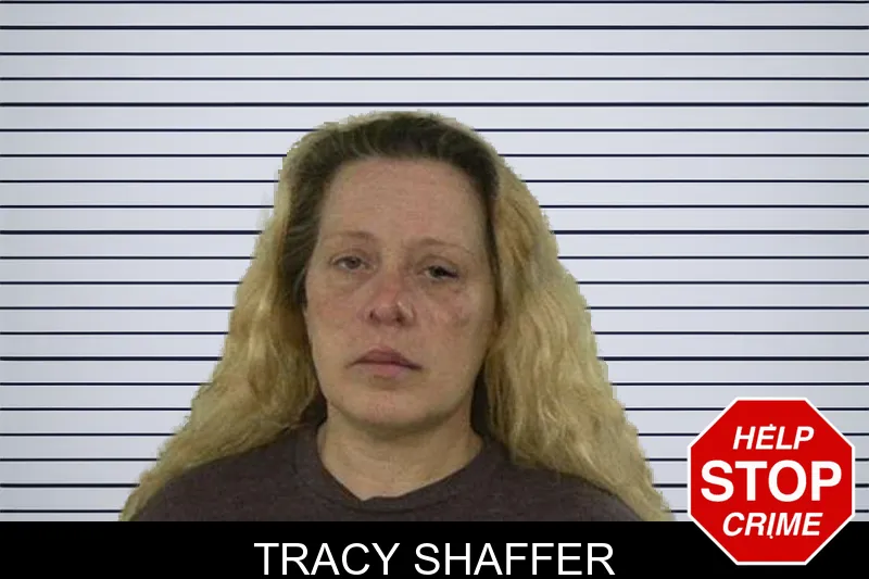 Tracy Shaffer mugshot – Liberty County , Georgia Tracy Shaffer mugshot