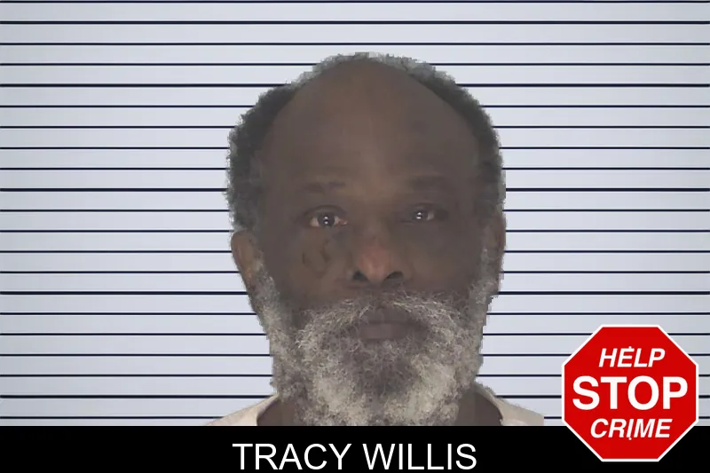 Tracy Willis Mugshots