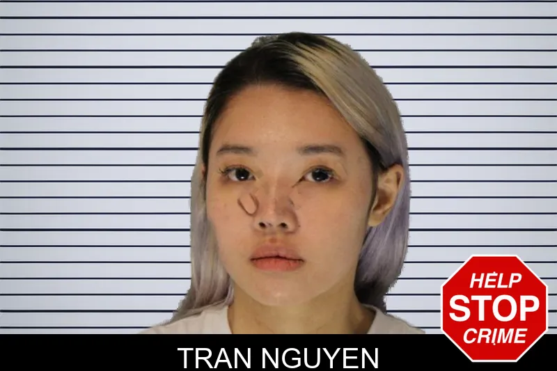 Tran Nguyen Mugshots