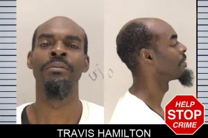 Travis Hamilton mugshot