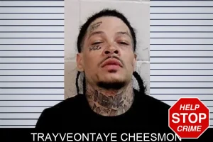 Trayveontaye Cheesmon mugshot