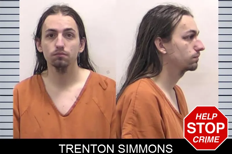 Trenton Simmons mugshot