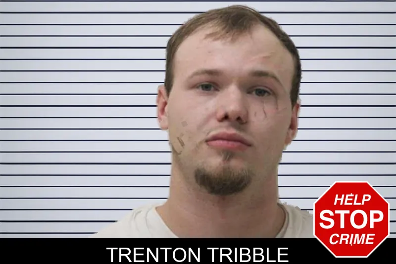 Trenton Tribble Mugshots