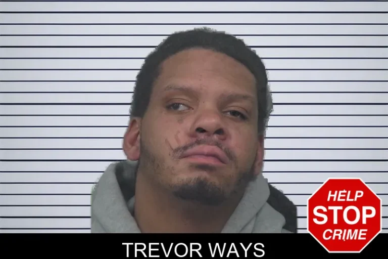 Trevor Ways mugshot – Gwinnett County , Georgia Trevor Ways