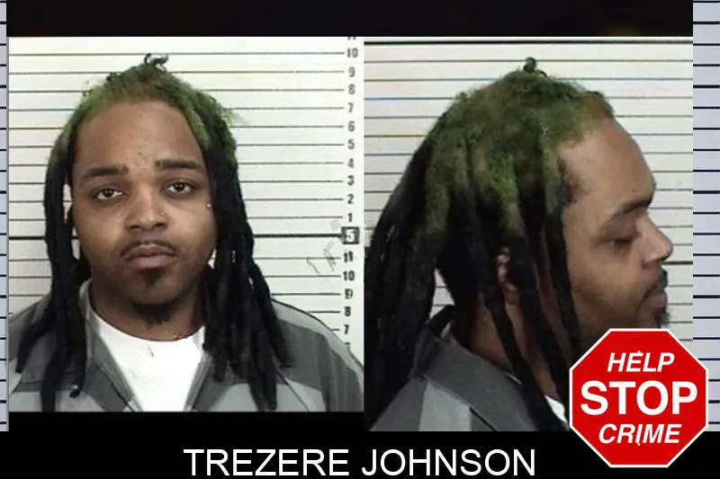 Trezere Johnson Mugshots