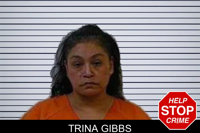 Trina Gibbs mugshot