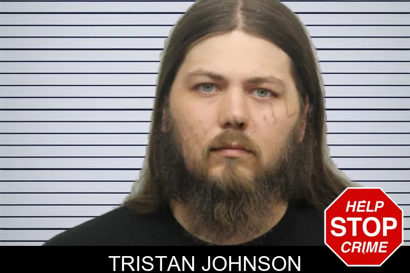 Tristan Johnson mugshot – Chatham County , Georgia Tristan Johnson mugshot