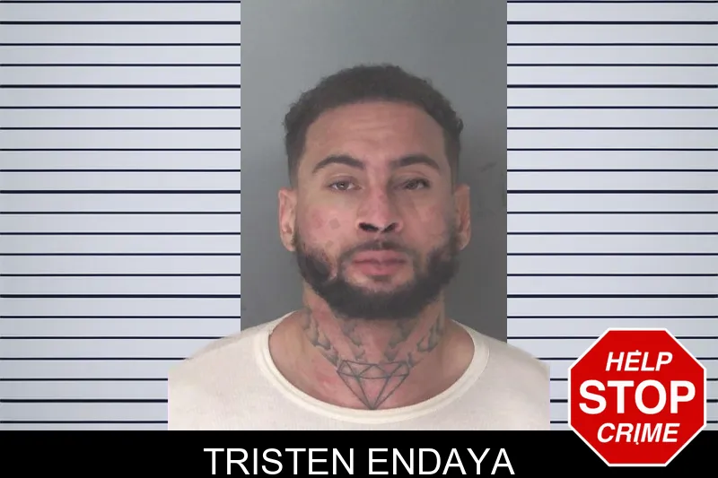 Tristen Endaya Mugshots