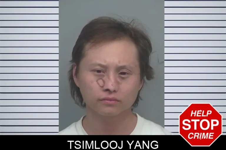 Tsimlooj Yang