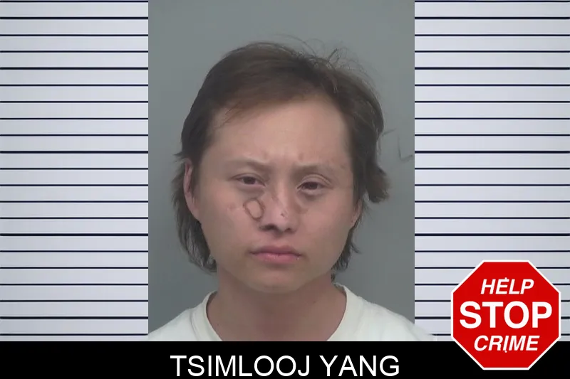 Tsimlooj Yang mugshot – Gwinnett County , Georgia Tsimlooj Yang mugshot