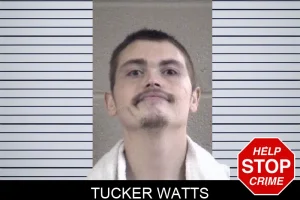 Tucker Watts mugshot