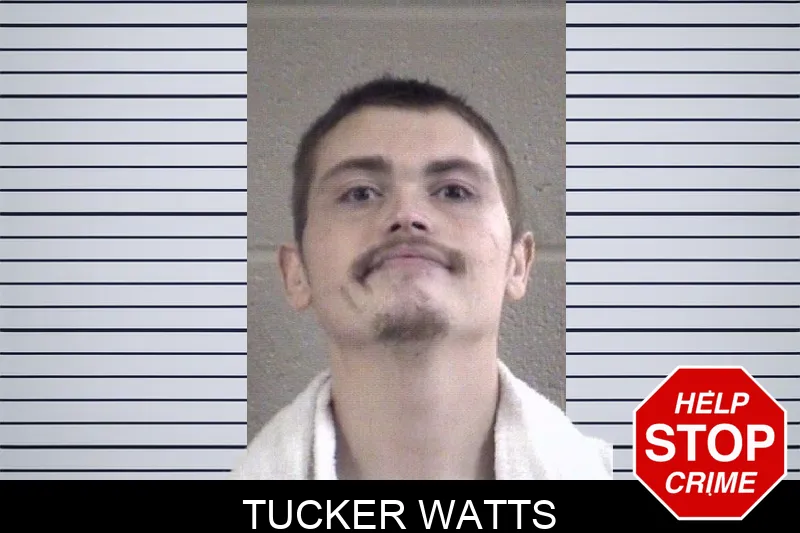 Tucker Watts Mugshots