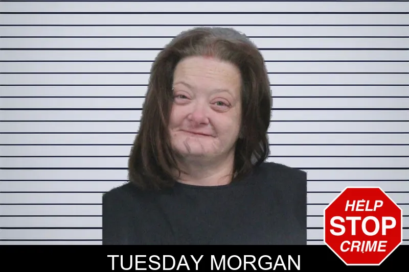 Tuesday Morgan Mugshots