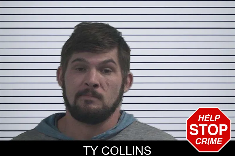 Ty Collins mugshot