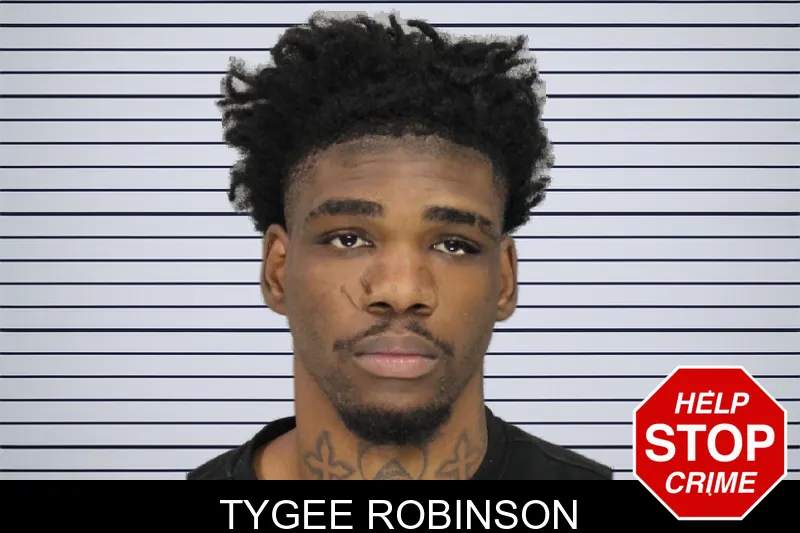 Tygee Robinson Mugshots