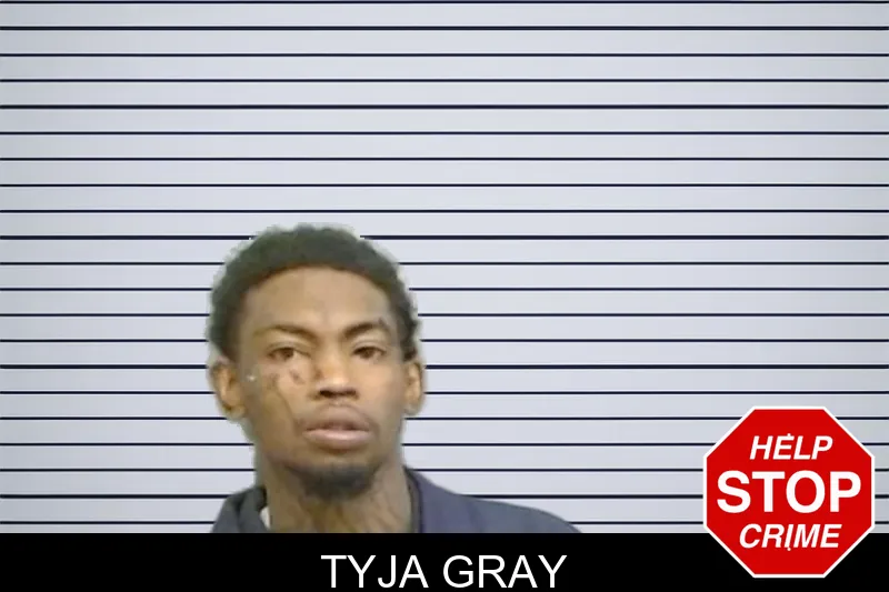 Tyja Gray mugshot – Fulton County , Georgia Tyja Gray mugshot