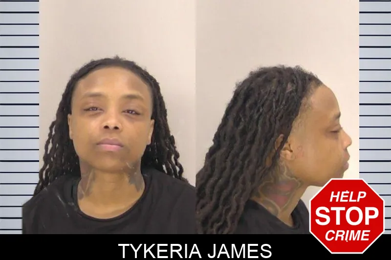 Tykeria James Mugshots