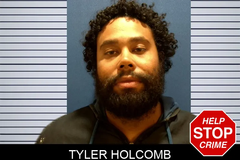 Tyler Holcomb mugshot – Troup County , Georgia Tyler Holcomb mugshot