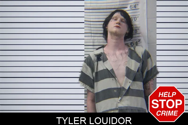 Tyler Louidor Mugshots