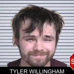 Tyler Willingham mugshot