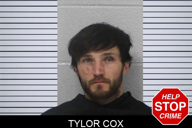 Tylor Cox Mugshots
