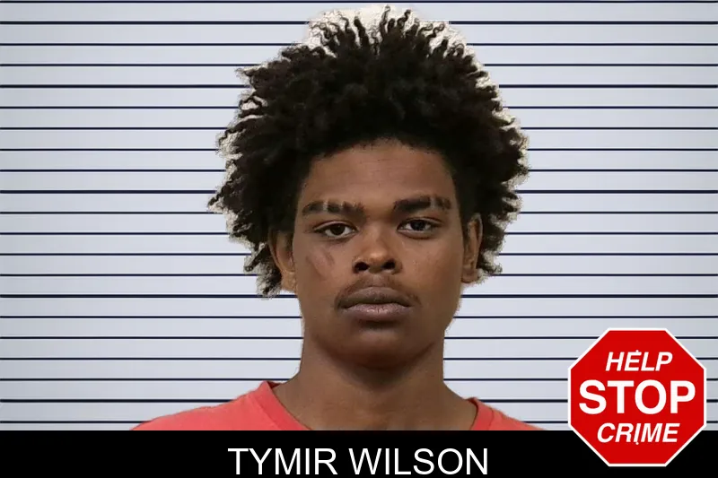 Tymir Wilson Mugshots