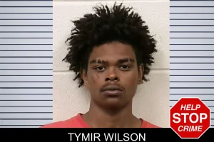 Tymir Wilson mugshot