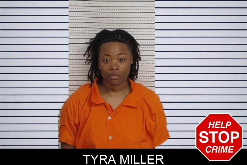 Tyra Miller Mugshots