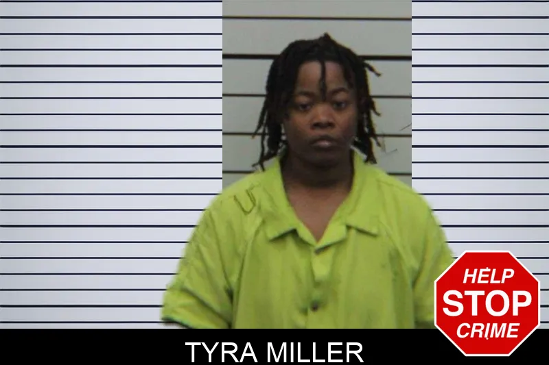 Tyra Miller mugshot