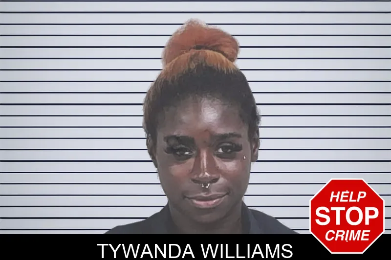 Tywanda Williams mugshot