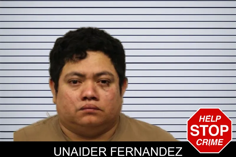 Unaider Fernandez mugshot