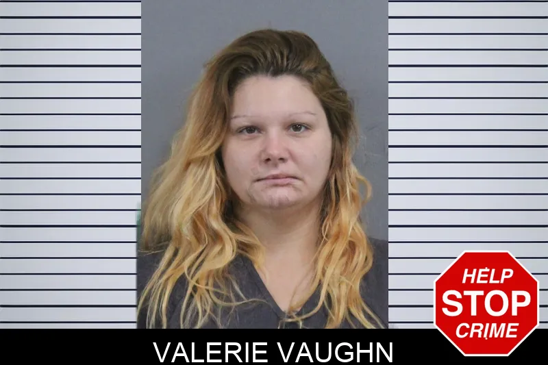 Valerie Vaughn mugshot – Catoosa County , Georgia Valerie Vaughn mugshot