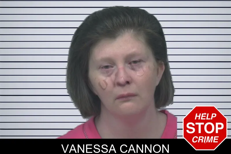 Vanessa Cannon mugshot – Gwinnett County , Georgia Vanessa Cannon mugshot