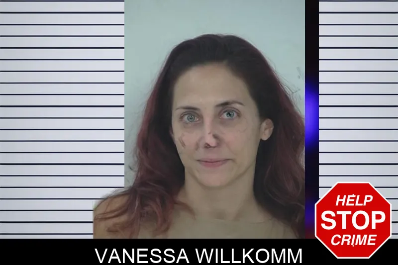 Vanessa Willkomm Mugshots