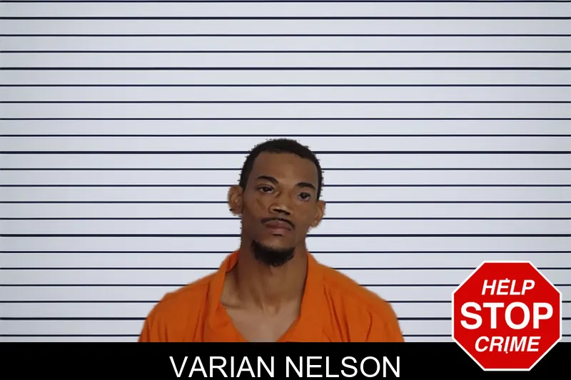 Varian Nelson Mugshots