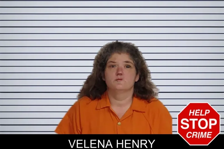 Velena Henry mugshot – Rockdale County , Georgia Velena Henry