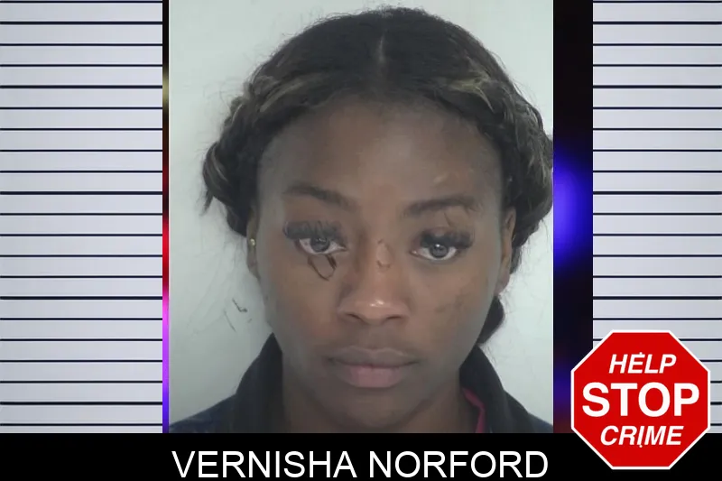 Vernisha Norford mugshot – Fayette County , Georgia Vernisha Norford mugshot