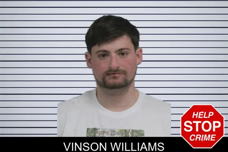 Vinson Williams