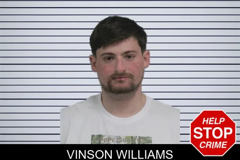 Vinson Williams