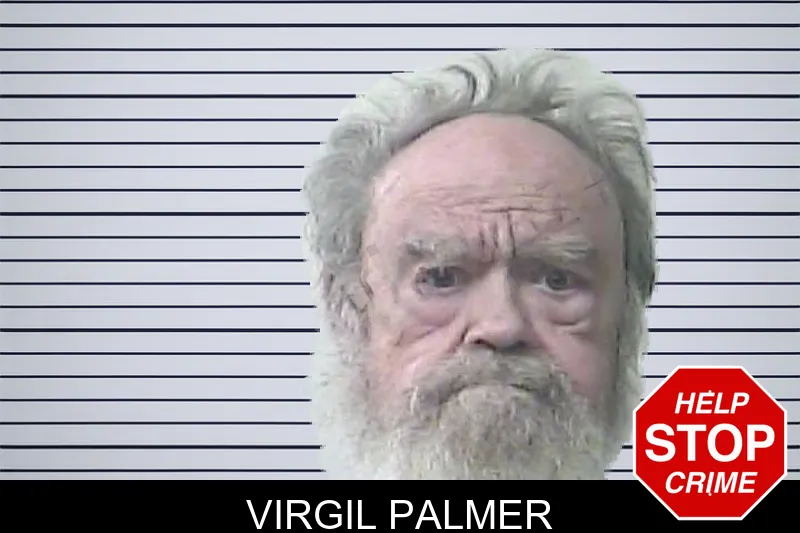 Virgil Palmer Mugshots