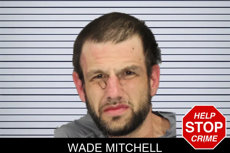 Wade Mitchell mugshot