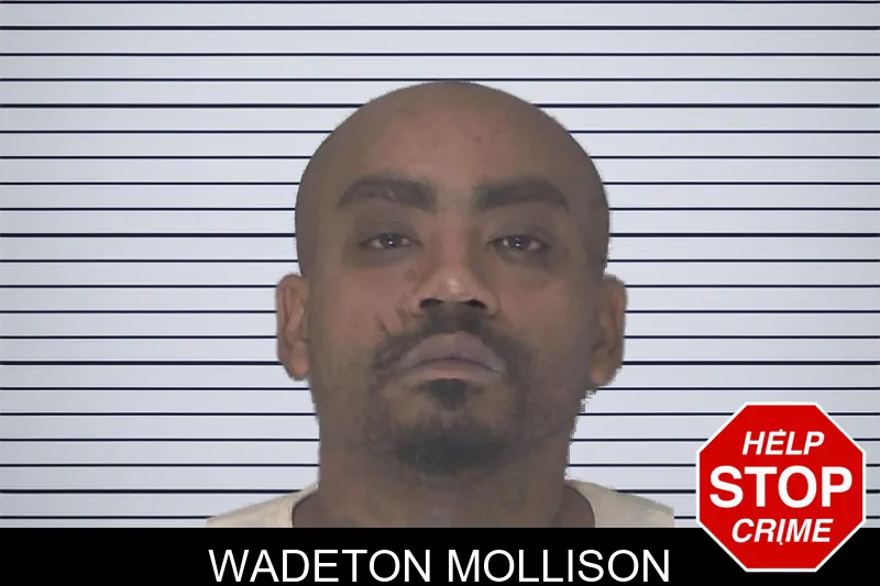 Wadeton Mollison Mugshots