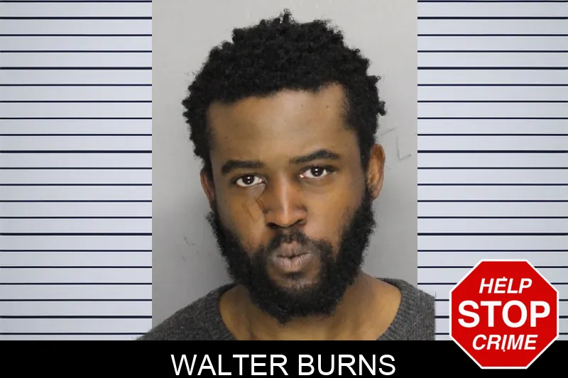 Walter Burns mugshot